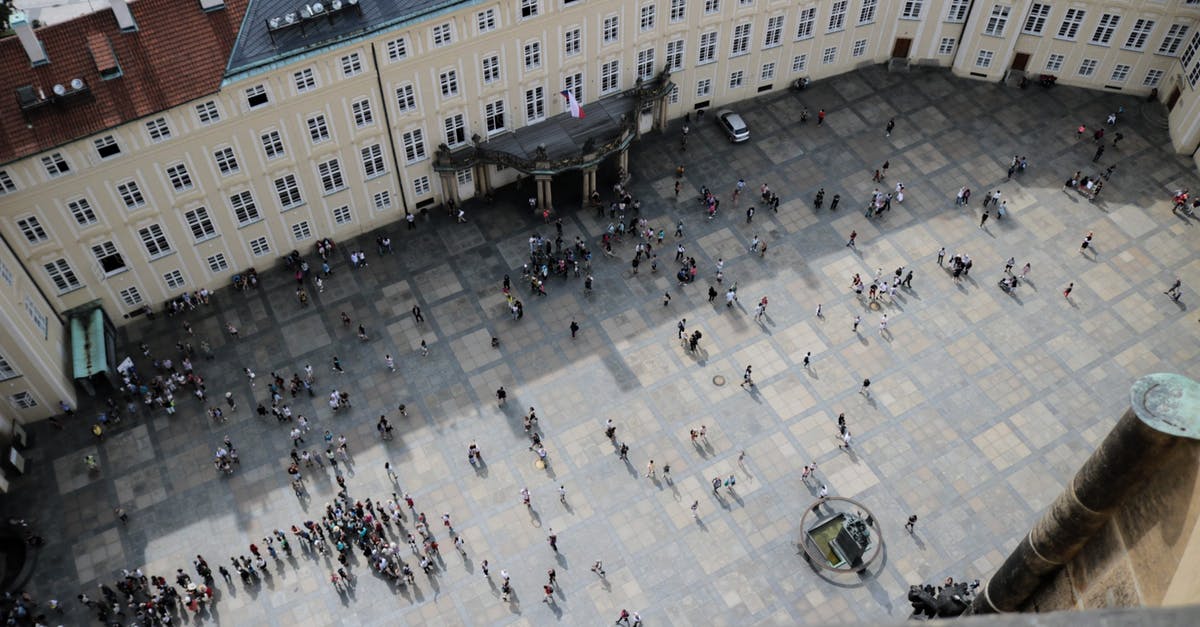 Breaking down a lamb "square shoulder" - From above of travelers on square in front of aged vintage panoramic exploring sightseeing and studying place in daylight Breaking down a lamb "square shoulder" - From above of travelers on square in front of aged vintage panoramic exploring sightseeing and studying place in daylight