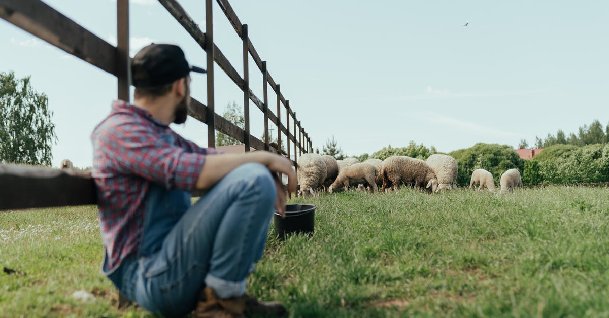 Breaking down a lamb "square shoulder" - Man in Blue Denim Jeans Sitting on Brown Wooden Bench Breaking down a lamb "square shoulder" - Man in Blue Denim Jeans Sitting on Brown Wooden Bench