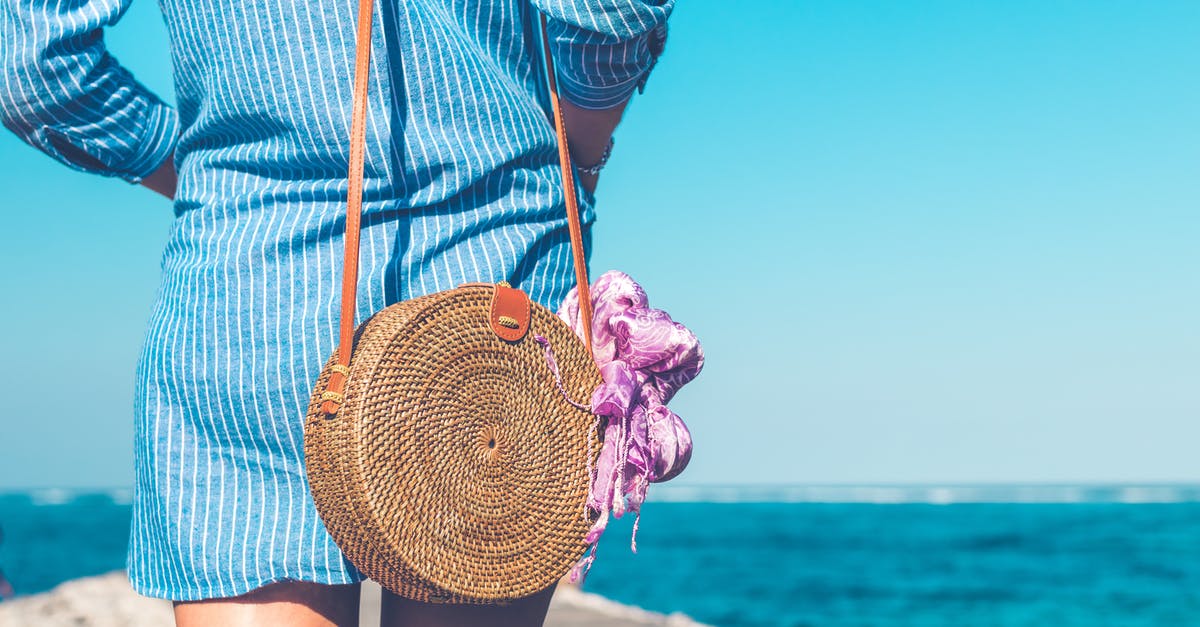 Broad bean water went brown overnight - Woman Wearing Blue and White Striped Dress With Brown Rattan Crossbody Bag Near Ocean Broad bean water went brown overnight - Woman Wearing Blue and White Striped Dress With Brown Rattan Crossbody Bag Near Ocean