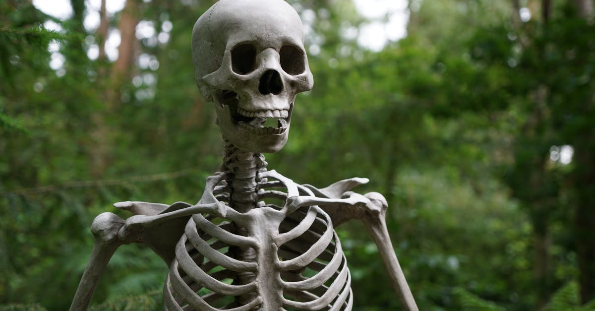 Browning bones in a skillet - Selective Focus Photography of Skeleton