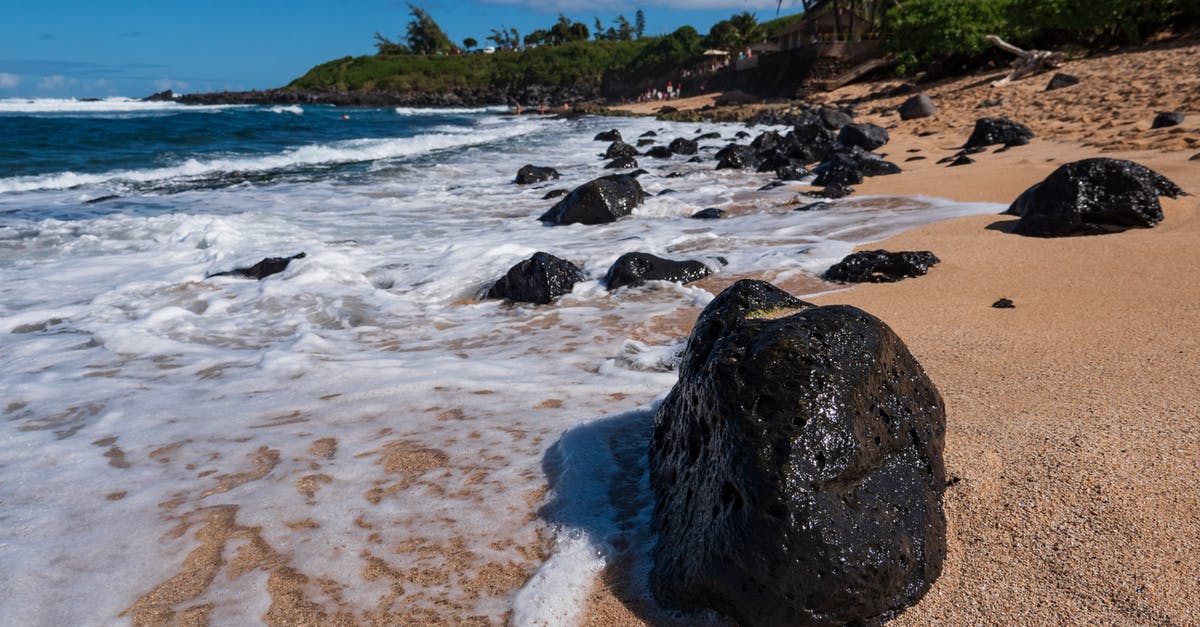 Butter burns when pan searing mahi mahi - Rocks On Seashore Butter burns when pan searing mahi mahi - Rocks On Seashore