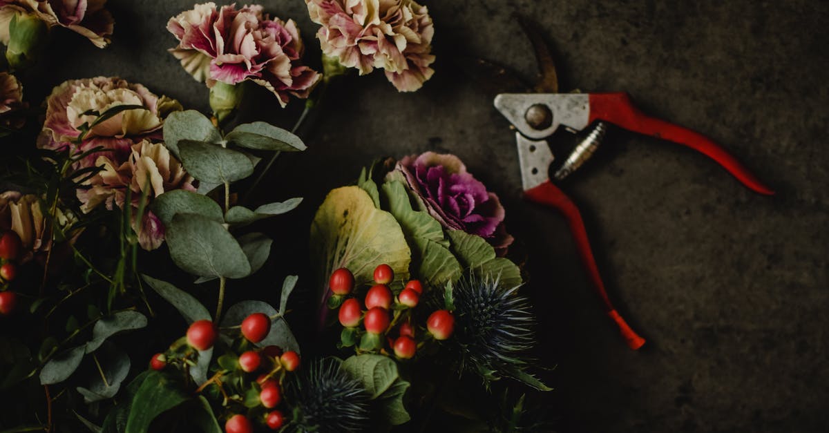 cabbage - volume to weight conversion? - Red and Silver Hand Tool Beside Pink Flowers cabbage - volume to weight conversion? - Red and Silver Hand Tool Beside Pink Flowers