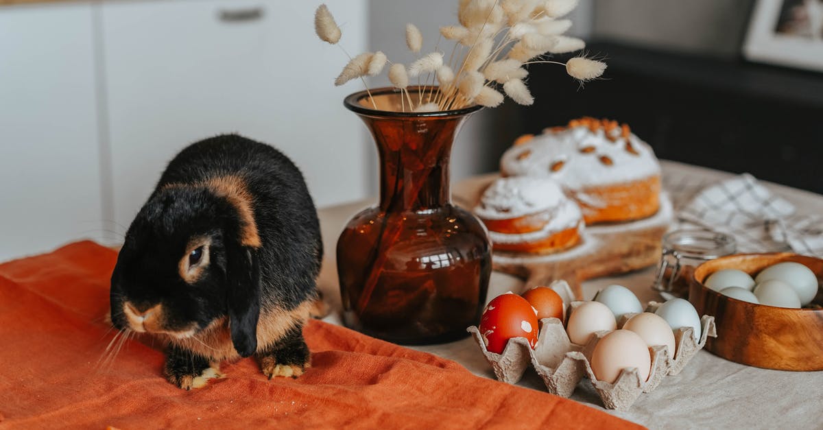 cake smells bad of egg, is dense and rubbery - An Eater Bunny on the Table cake smells bad of egg, is dense and rubbery - An Eater Bunny on the Table