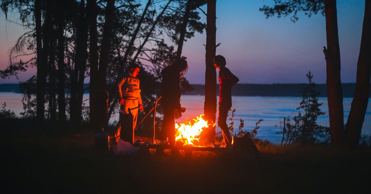 Camping with tofu - People Standing Near Bonfire Camping with tofu - People Standing Near Bonfire