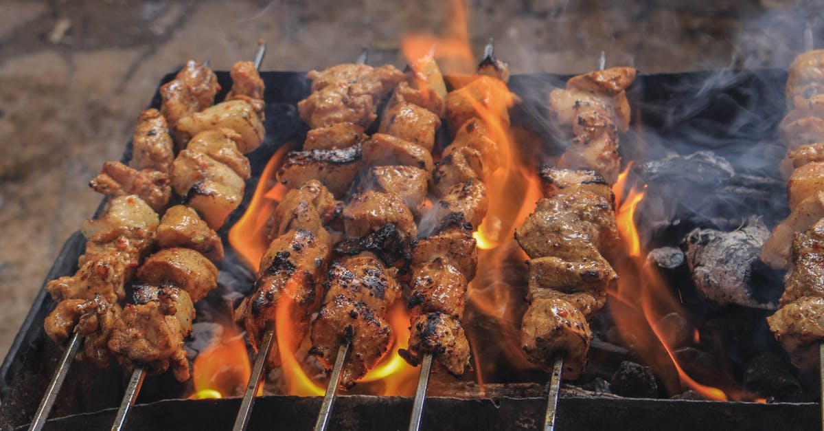 Can a broiler function as a grill substitute when making kebabs? - Grilled Meats on Skewers Can a broiler function as a grill substitute when making kebabs? - Grilled Meats on Skewers