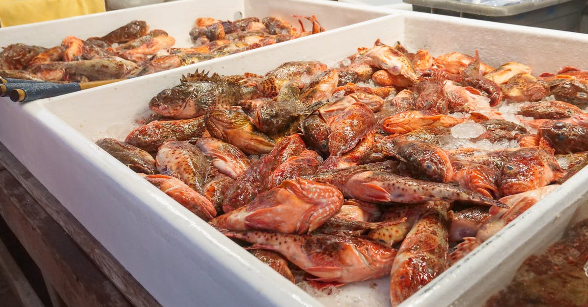 Can a fish living in fresh water be called seafood? - Fresh Fish on White Plastic Container Can a fish living in fresh water be called seafood? - Fresh Fish on White Plastic Container