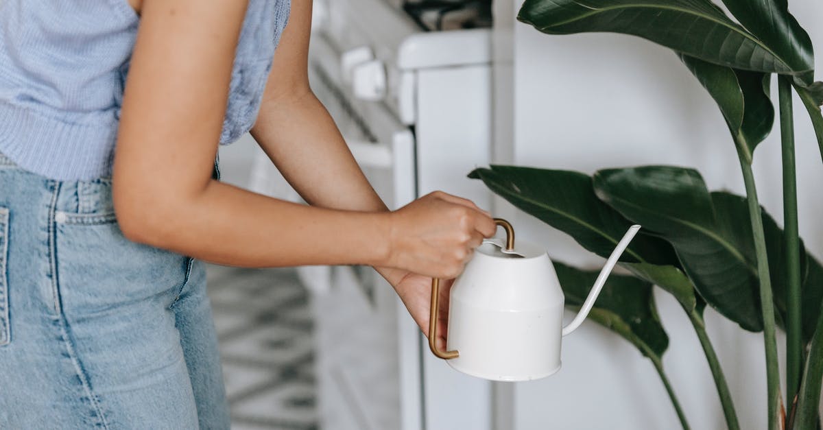 Can a rice cooker make amounts much smaller than its rating? - Crop unrecognizable female pouring water from watering can on potted plant with green leaves while standing in room with stove Can a rice cooker make amounts much smaller than its rating? - Crop unrecognizable female pouring water from watering can on potted plant with green leaves while standing in room with stove