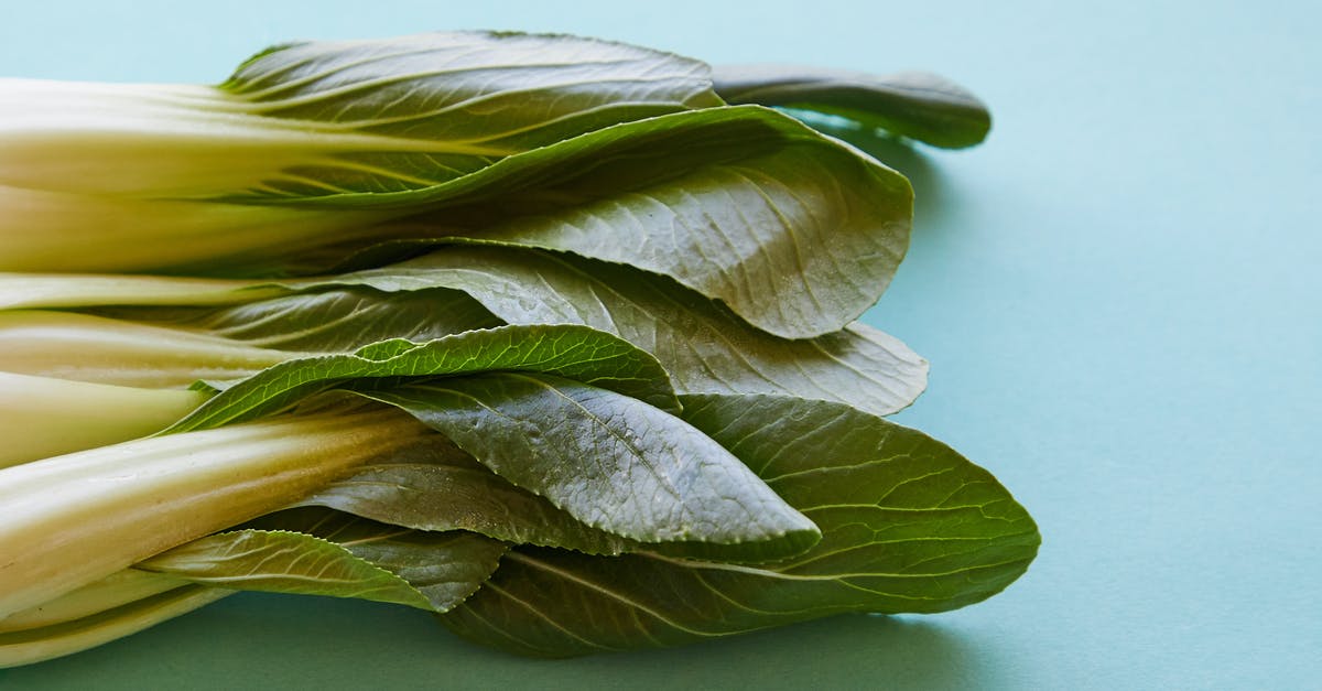 Can cabbage leaf (stalk leaf not the outer leaf) be eaten? - Top view of fresh pok choi with ripe verdant leaves on thick stems on blue background Can cabbage leaf (stalk leaf not the outer leaf) be eaten? - Top view of fresh pok choi with ripe verdant leaves on thick stems on blue background