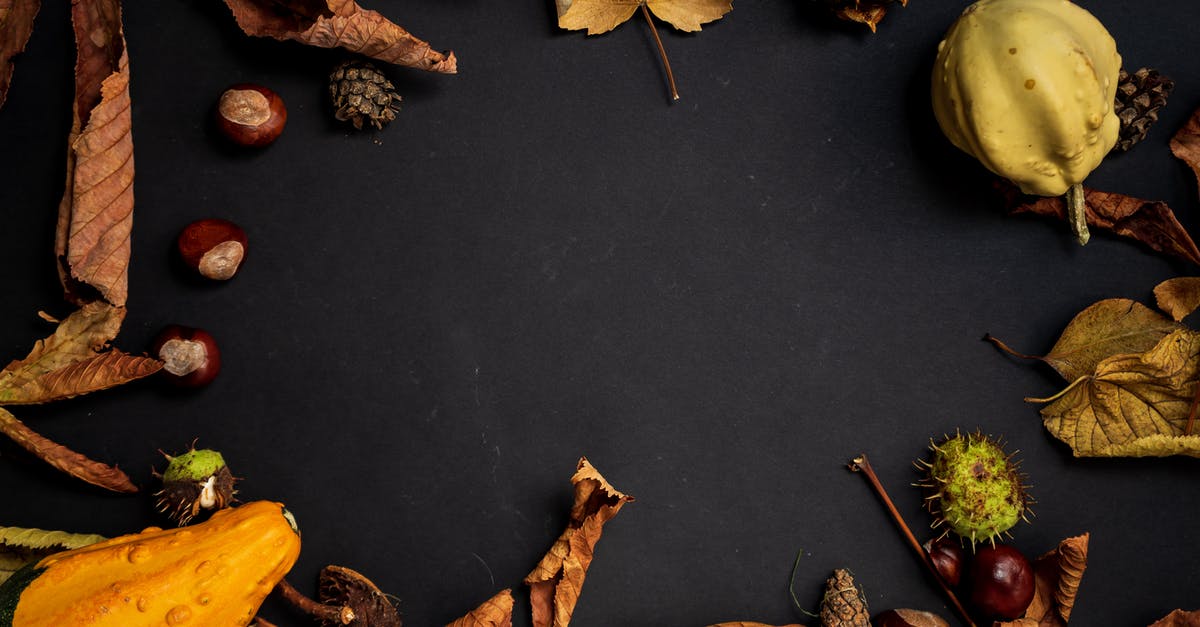Can dry roasted squash be used effectively for gnocchi? - From Above Shot Of Dried Leaves and Yellow Fruit Can dry roasted squash be used effectively for gnocchi? - From Above Shot Of Dried Leaves and Yellow Fruit