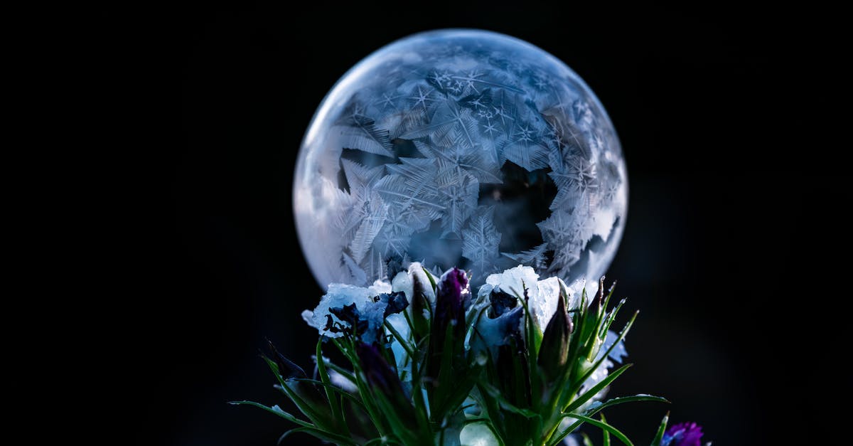 Can frozen (fresh) flower petals be used in baking the same as unfrozen fresh petals? - Decorative shiny ball near blooming flowers on black background Can frozen (fresh) flower petals be used in baking the same as unfrozen fresh petals? - Decorative shiny ball near blooming flowers on black background