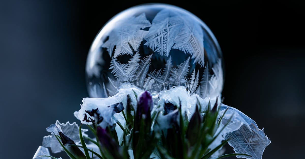 Can frozen (fresh) flower petals be used in baking the same as unfrozen fresh petals? - Blossoming flower bouquet with pleasant scent near shiny ornamental sphere on black background Can frozen (fresh) flower petals be used in baking the same as unfrozen fresh petals? - Blossoming flower bouquet with pleasant scent near shiny ornamental sphere on black background