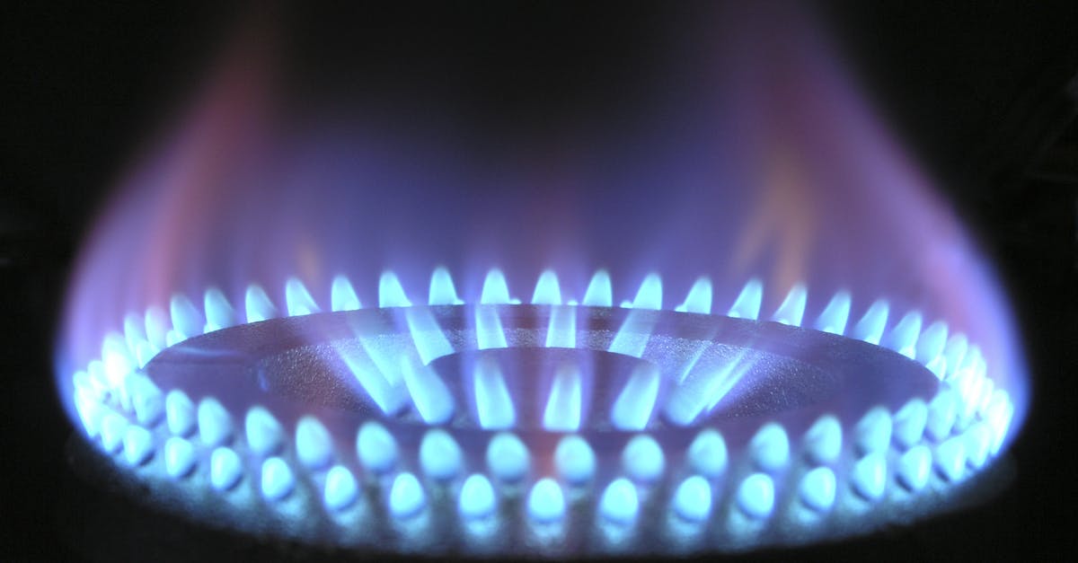 Can I cook with fire? - Burning Stove