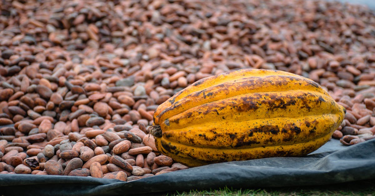 Can I make a cake with finely ground coffee instead of cocoa powder? - Yellow Cacao Fruit Can I make a cake with finely ground coffee instead of cocoa powder? - Yellow Cacao Fruit