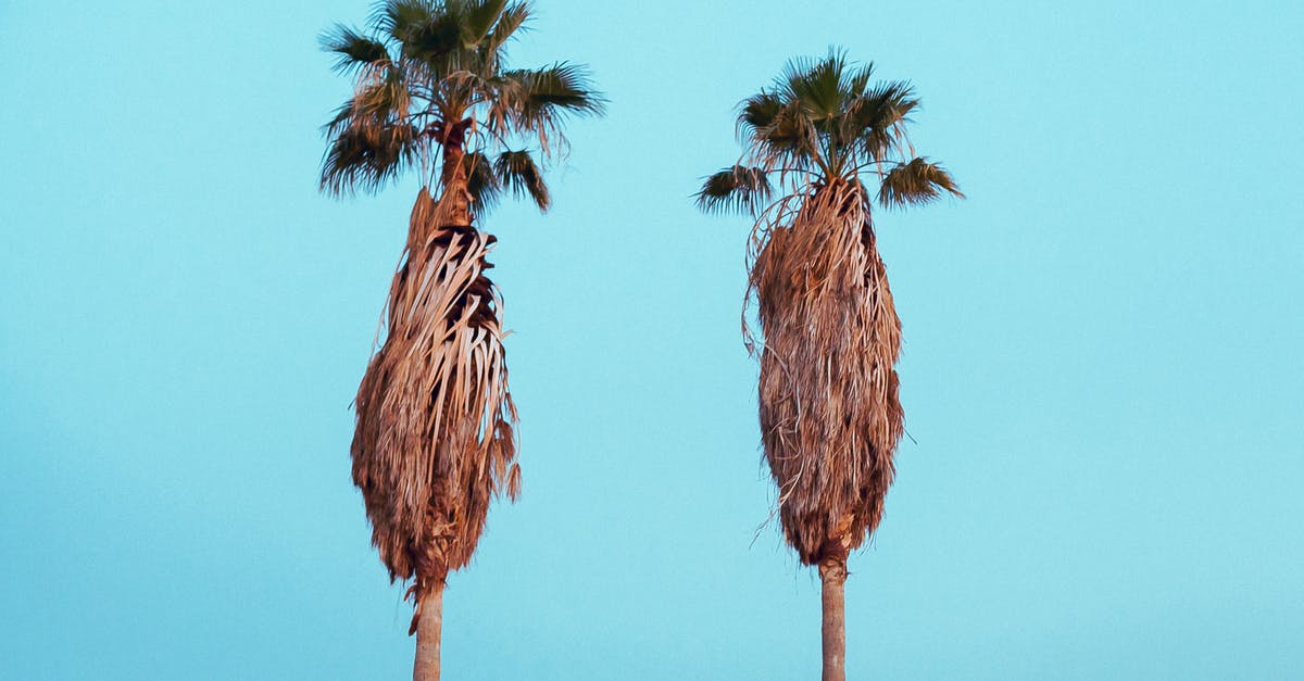 Can I make sweetened coconut from dried coconut? - Two Palm Trees