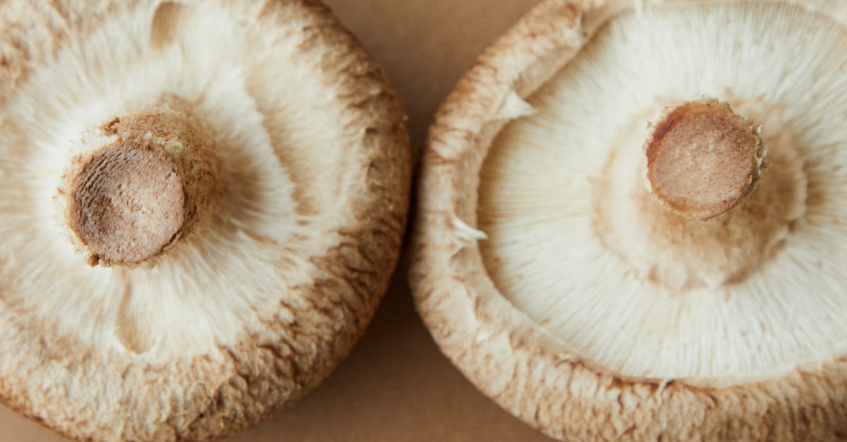 Can I prepare and eat dried oyster mushrooms that are four year old? - Fresh mushrooms on brown surface Can I prepare and eat dried oyster mushrooms that are four year old? - Fresh mushrooms on brown surface