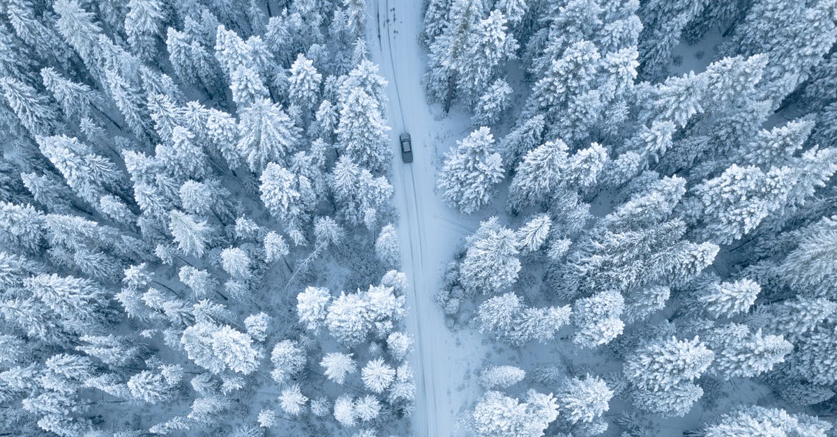 Can I remove frost from frozen chicken breasts and re-package? - Aerial Photography of Pine Trees Covered With Snow Can I remove frost from frozen chicken breasts and re-package? - Aerial Photography of Pine Trees Covered With Snow