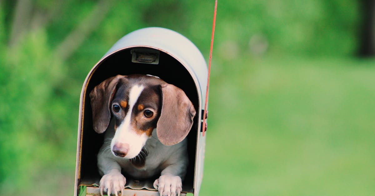 Can I selectively breed my sourdough starter? - Photo of Dog Inside Mailbox Can I selectively breed my sourdough starter? - Photo of Dog Inside Mailbox