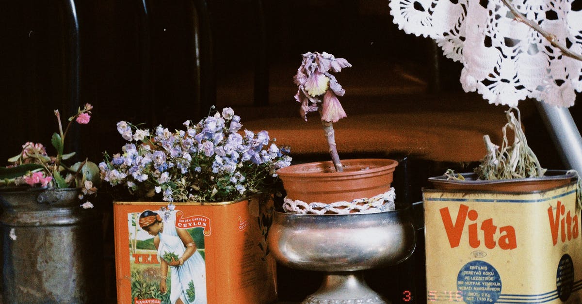 Can I stack pots while cooking? - White and Purple Flowers in Gray Ceramic Vase Can I stack pots while cooking? - White and Purple Flowers in Gray Ceramic Vase
