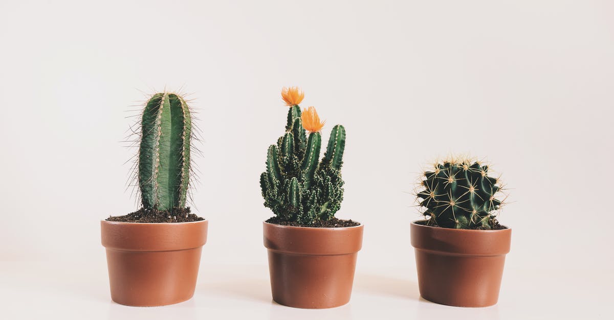 Can I substitute blackbelly rosefish for spiny lobster? - Three Potted Cactus Plants