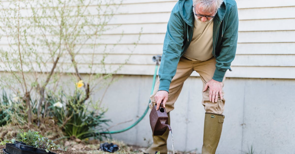 Can I use green cardamomm pods and ground cardamom interchangeably? - Senior male farmer in gumboots standing with can and watering green sprouts against wall Can I use green cardamomm pods and ground cardamom interchangeably? - Senior male farmer in gumboots standing with can and watering green sprouts against wall