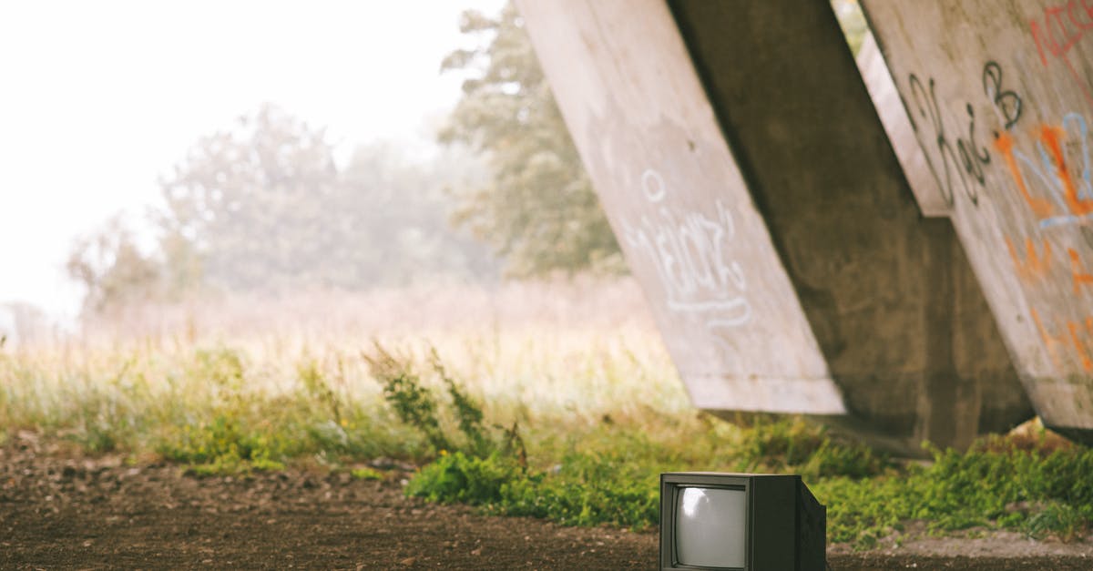 Can I use green cardamomm pods and ground cardamom interchangeably? - Small black old fashioned television placed on ground near concrete construction with graffiti and grassy terrain with trees on foggy background Can I use green cardamomm pods and ground cardamom interchangeably? - Small black old fashioned television placed on ground near concrete construction with graffiti and grassy terrain with trees on foggy background