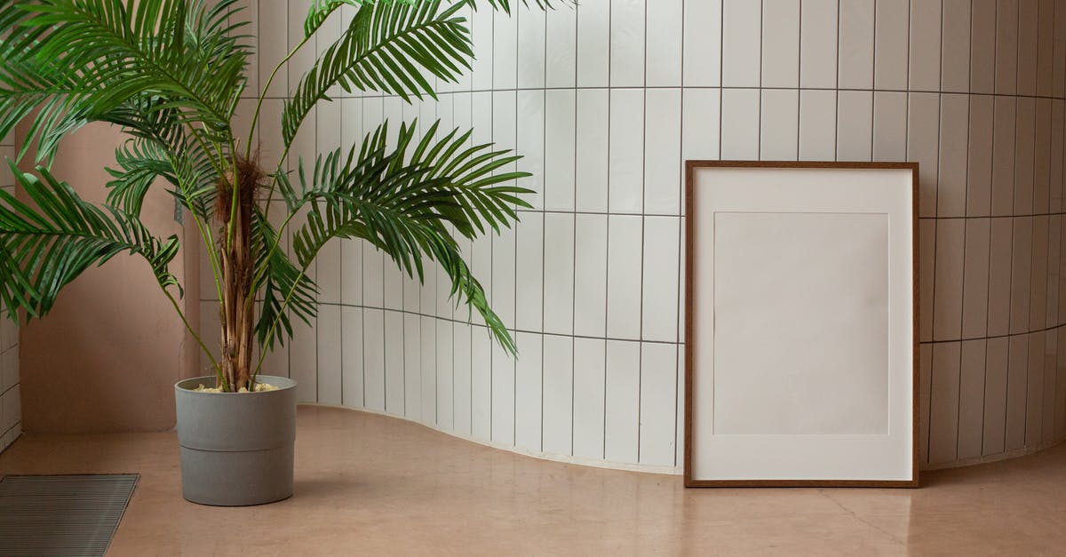 Can I use the green part of leeks for stocks? - Blank frame near potted flower