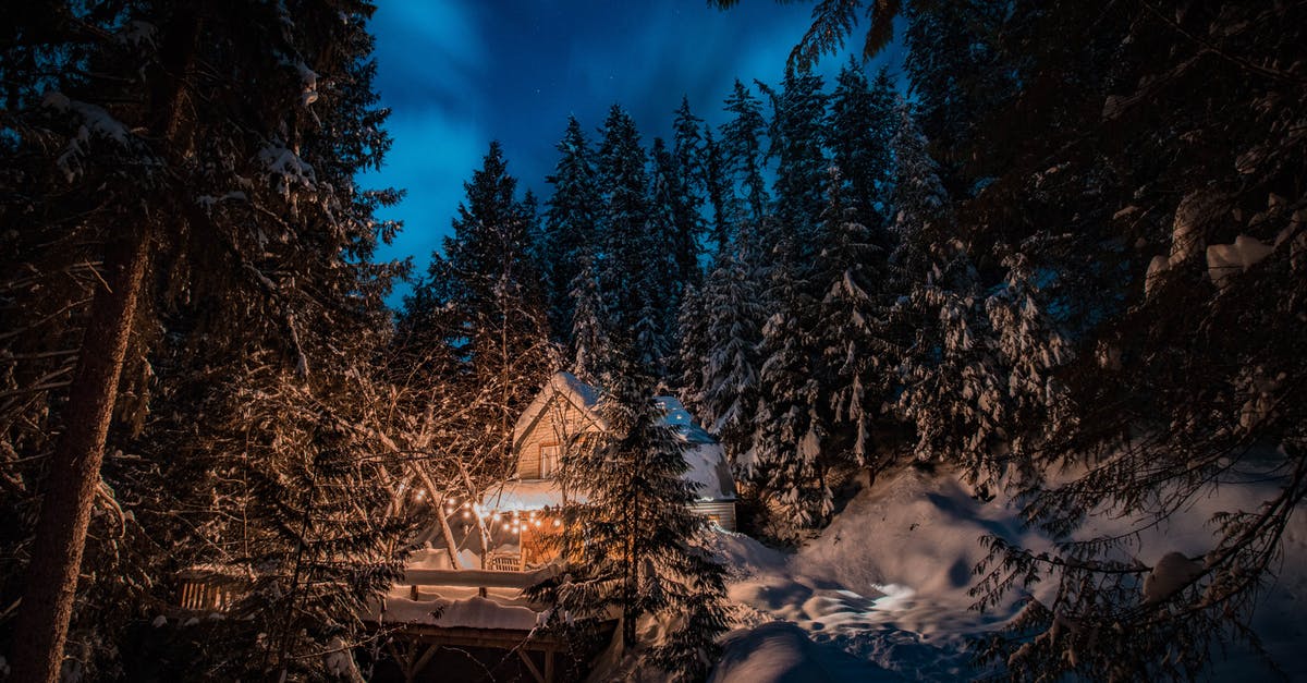 Can nuts be frozen and for how long? - View Of Icy Pine Trees and Barn House At Night Can nuts be frozen and for how long? - View Of Icy Pine Trees and Barn House At Night