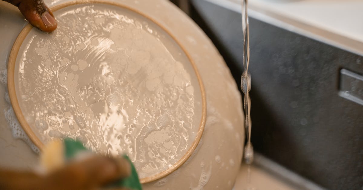 Can some dishes be washed with only water? - A Person Washing a Ceramic Plate Can some dishes be washed with only water? - A Person Washing a Ceramic Plate