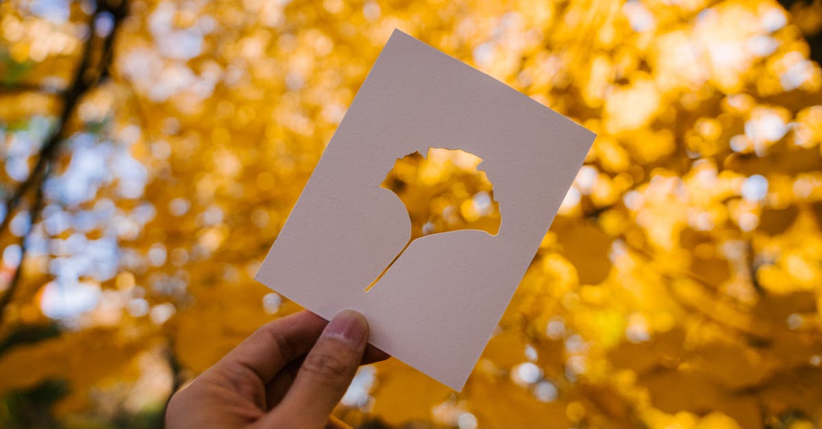 Can you dry out pickle brine to leave a seasoned salt? - Person showing card against yellow autumn leaves Can you dry out pickle brine to leave a seasoned salt? - Person showing card against yellow autumn leaves