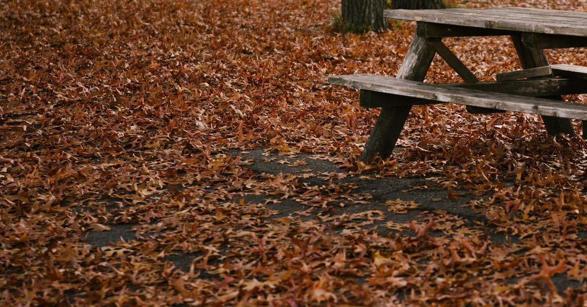 Can you dry out pickle brine to leave a seasoned salt? - Empty wooden bench placed in autumn park Can you dry out pickle brine to leave a seasoned salt? - Empty wooden bench placed in autumn park