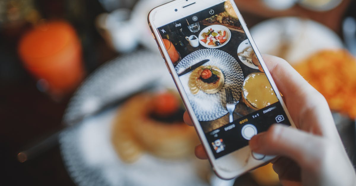 Can you hone a knife properly by using another knife? - Crop person taking photo of food on smartphone of food Can you hone a knife properly by using another knife? - Crop person taking photo of food on smartphone of food