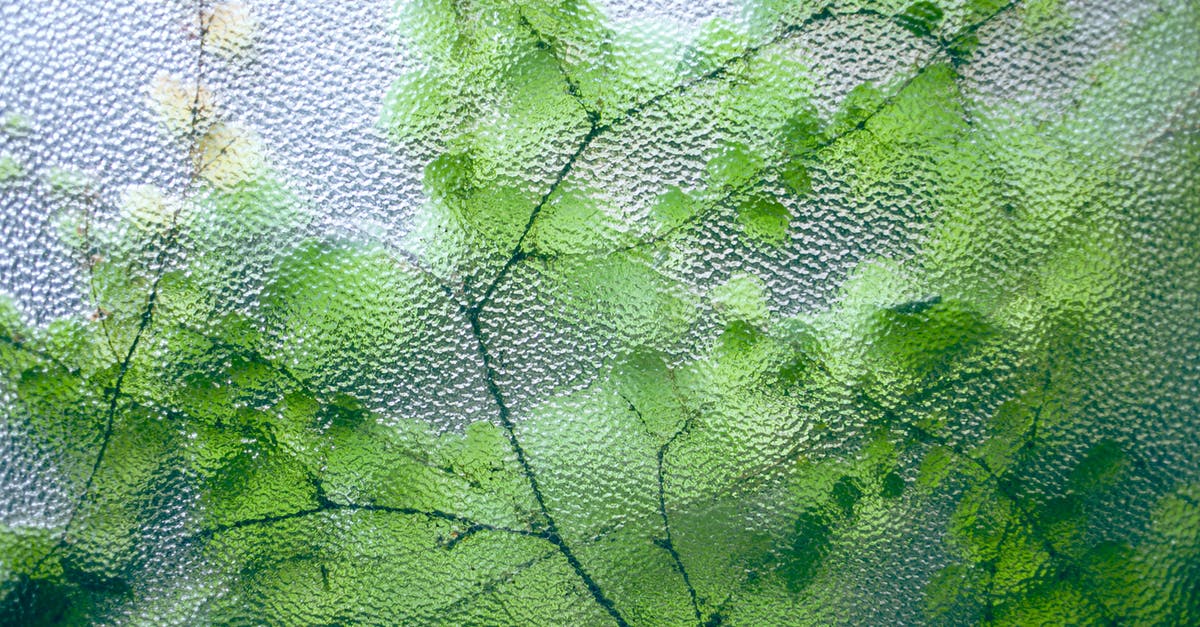 Can you season over some thin flash rust and get a usable pan as a result? What are the downsides of doing so? - Delicate green leaves on thin twigs of fresh plant growing near glass window Can you season over some thin flash rust and get a usable pan as a result? What are the downsides of doing so? - Delicate green leaves on thin twigs of fresh plant growing near glass window