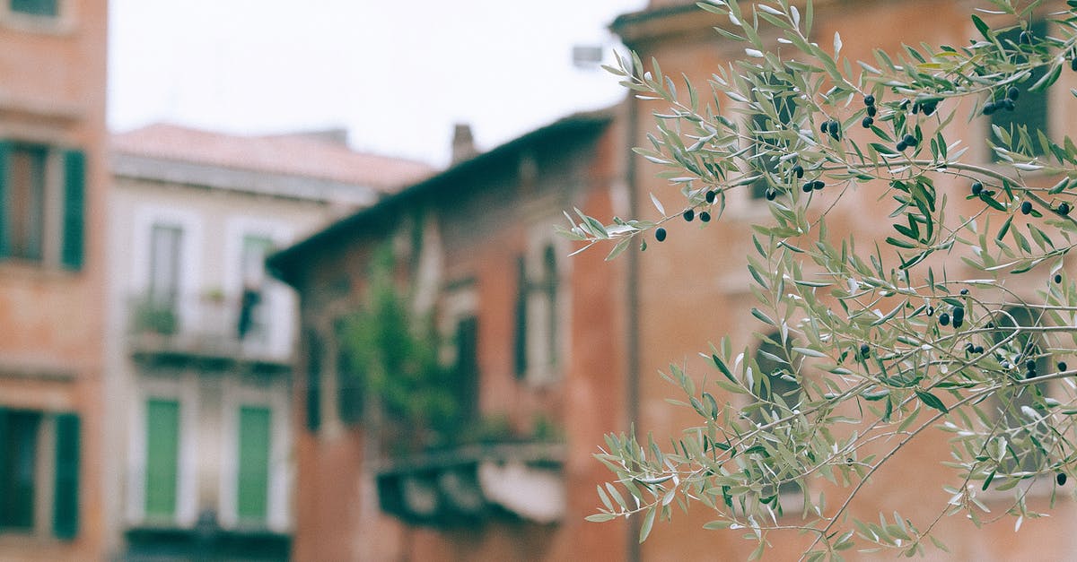 Can you season over some thin flash rust and get a usable pan as a result? What are the downsides of doing so? - Branches of tree against houses Can you season over some thin flash rust and get a usable pan as a result? What are the downsides of doing so? - Branches of tree against houses