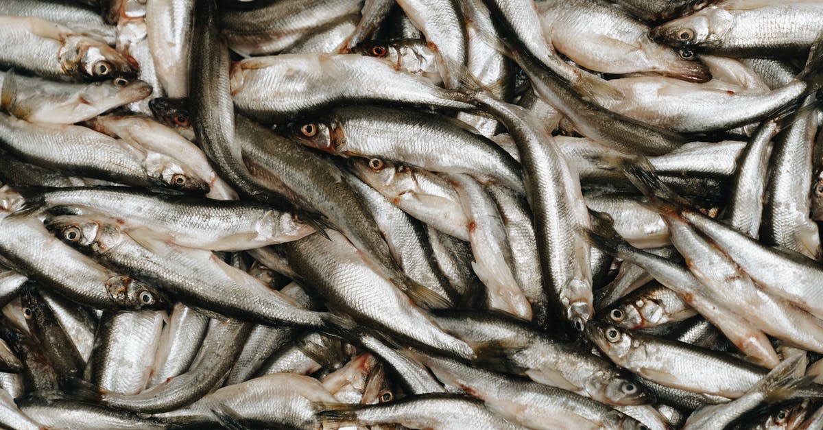Can you use sundried anchovies for myeolchi yuksu (Korean anchovy broth)? - Gray and Black Fish on Water Can you use sundried anchovies for myeolchi yuksu (Korean anchovy broth)? - Gray and Black Fish on Water