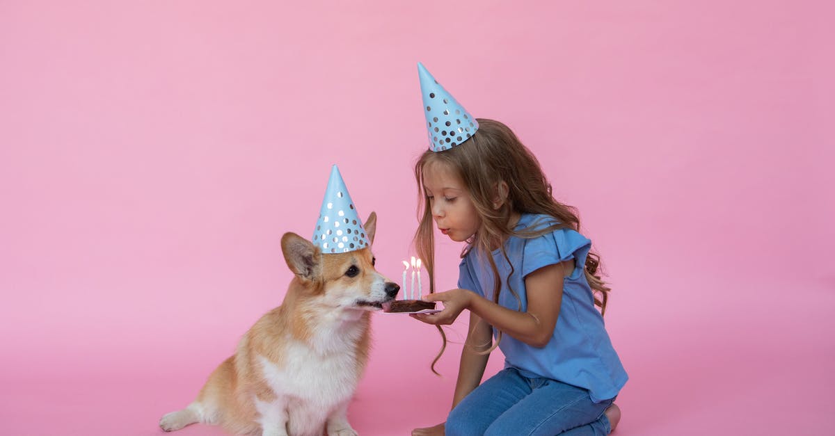 Canning with candles - Girl Celebrating Dogs Birthday Canning with candles - Girl Celebrating Dogs Birthday