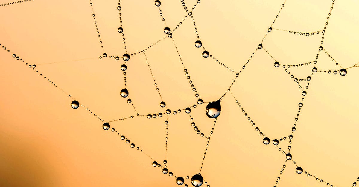 Chemistry of making carbonated water? - Spider Web With Dew Vector Art Chemistry of making carbonated water? - Spider Web With Dew Vector Art