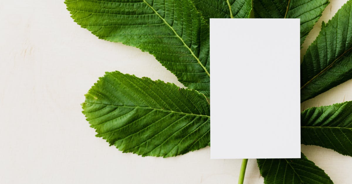chestnut puree quantity - Overhead view of blank greeting card placed on green chestnut tree leaf on light background chestnut puree quantity - Overhead view of blank greeting card placed on green chestnut tree leaf on light background