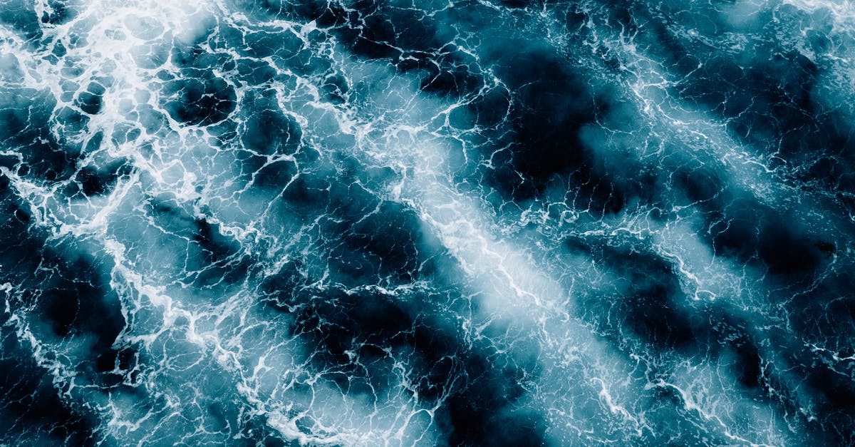 Chewed artichoke turned blue - Elevated View of Ocean Surface Chewed artichoke turned blue - Elevated View of Ocean Surface