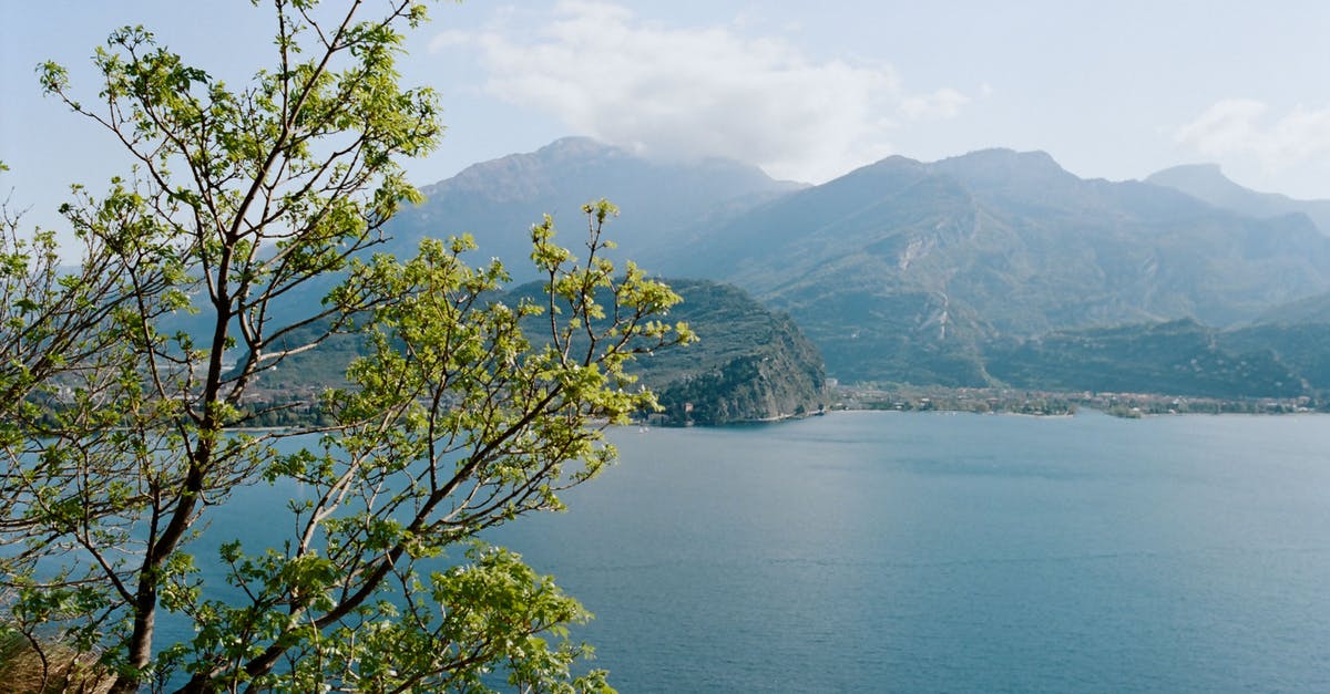 Chiffon gets stiff overnight - Picturesque scenery of blue sea rippling near rough rocky mountains and lush tree on sunny day Chiffon gets stiff overnight - Picturesque scenery of blue sea rippling near rough rocky mountains and lush tree on sunny day