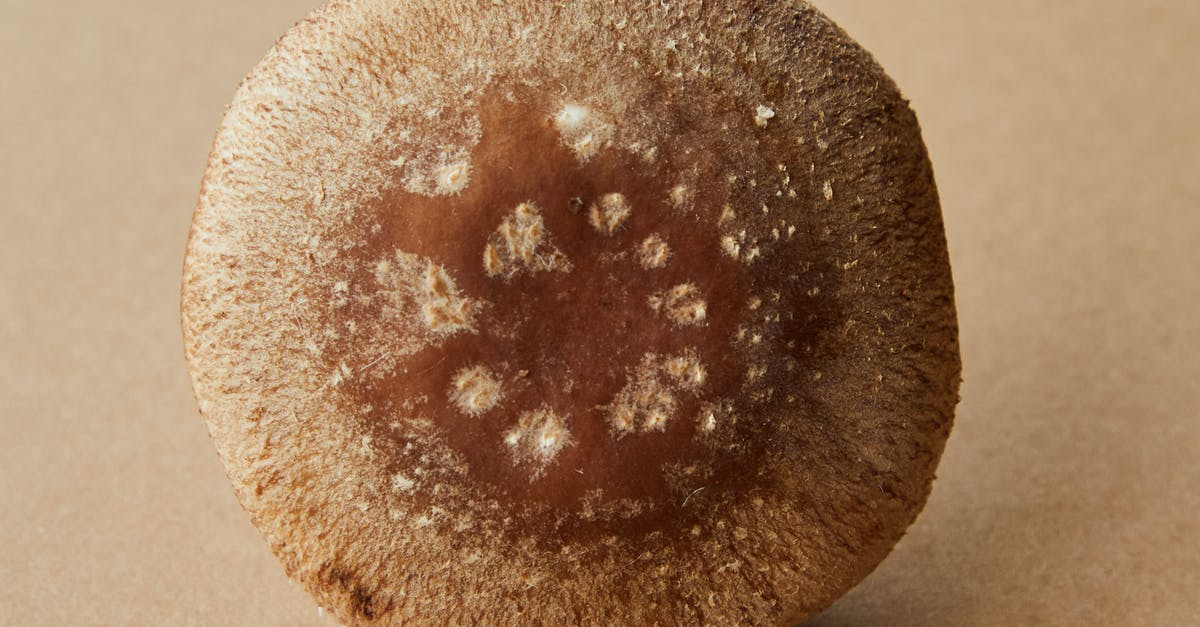 Chinese dumplings vegetarian style - mushrooms raw or cooked? - Closeup of brown soft cap of fresh uncooked edible mushroom on brown background Chinese dumplings vegetarian style - mushrooms raw or cooked? - Closeup of brown soft cap of fresh uncooked edible mushroom on brown background