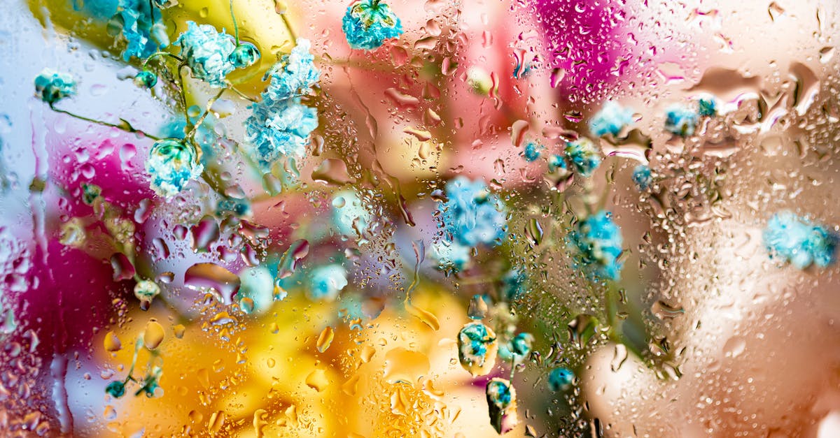 Chocolate: condensation issues - Fresh Flowers Behind Wet Glass Panel Chocolate: condensation issues - Fresh Flowers Behind Wet Glass Panel