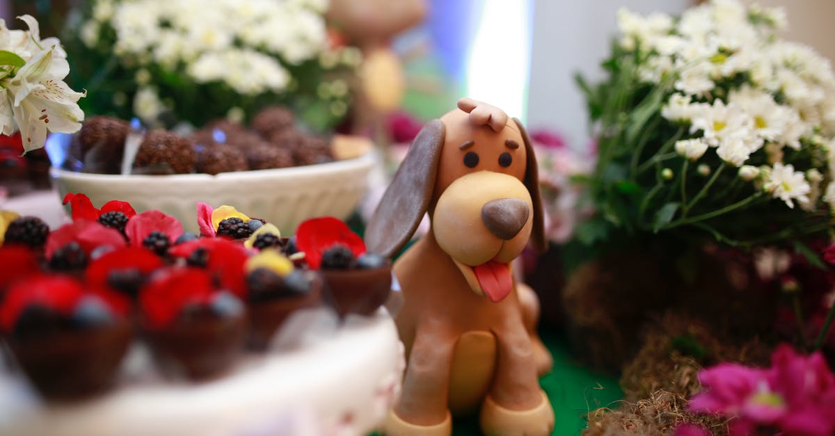 Chocolate fondant vs. liquid chocolate cake - Dog Shape Dessert on Table