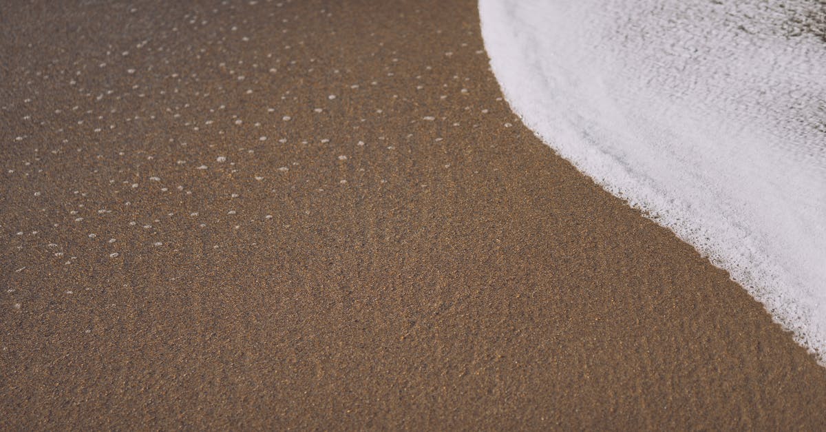 Coconut Water from White vs Brown Coconuts - Sandy beach with foamy ocean water in daylight Coconut Water from White vs Brown Coconuts - Sandy beach with foamy ocean water in daylight