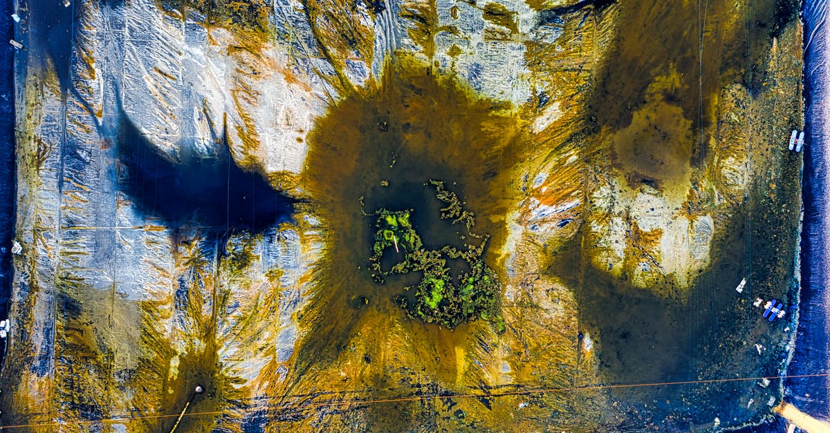 Coconut Water from White vs Brown Coconuts - Abstract background of artificial pond with spotted surface Coconut Water from White vs Brown Coconuts - Abstract background of artificial pond with spotted surface