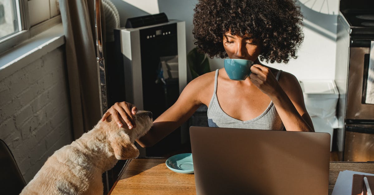Coffee Soluability/Concentration - Concentrated young black woman working remotely on netbook while sitting in room at table and drinking coffee while petting dog Coffee Soluability/Concentration - Concentrated young black woman working remotely on netbook while sitting in room at table and drinking coffee while petting dog