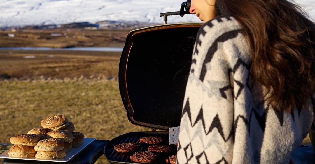 Cold Chinese BBQ Pork? - Young woman near portable BBQ in countryside Cold Chinese BBQ Pork? - Young woman near portable BBQ in countryside