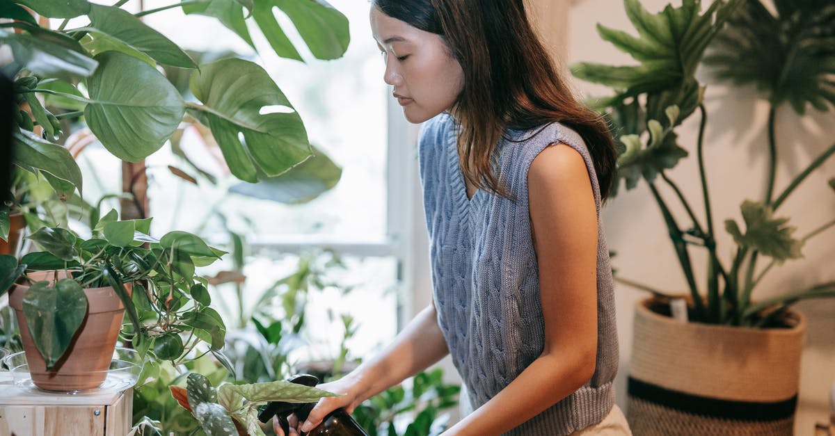 Constructing your own oil/water sprayer - Woman Using a Spray Bottle to Water the Plants Constructing your own oil/water sprayer - Woman Using a Spray Bottle to Water the Plants