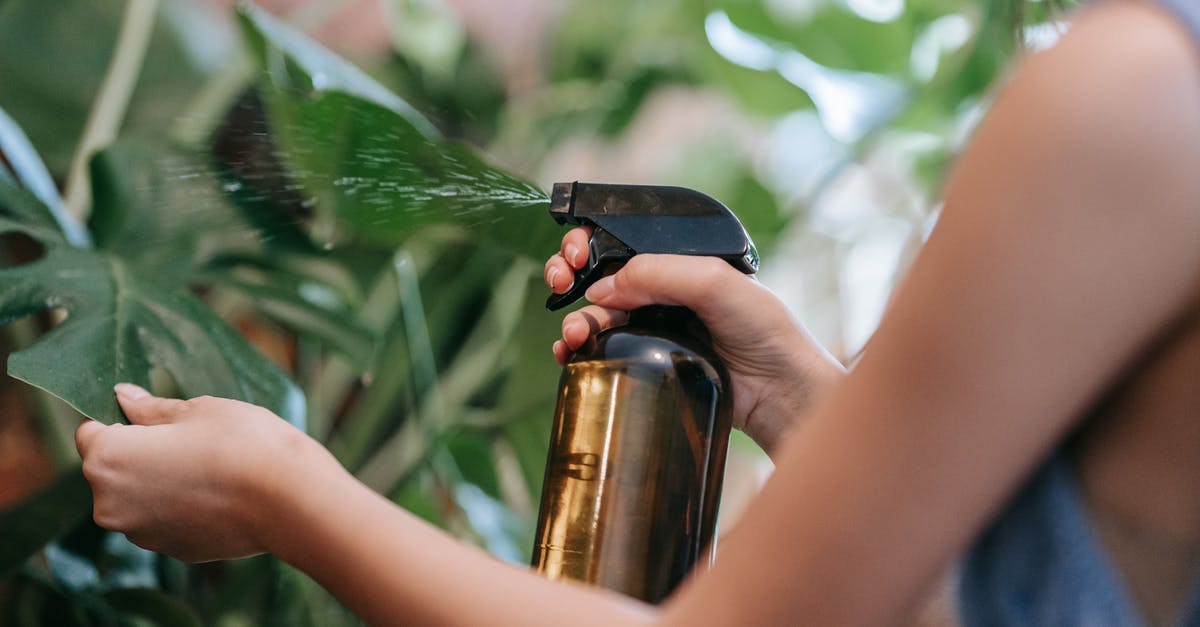Constructing your own oil/water sprayer - Person Watering the Plants Constructing your own oil/water sprayer - Person Watering the Plants