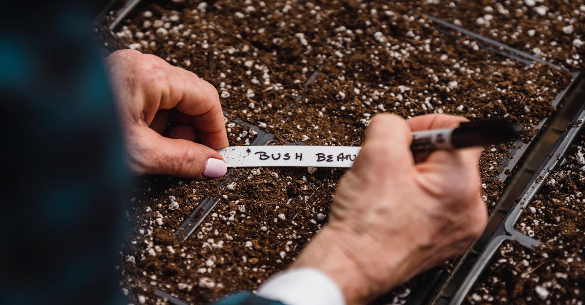 Convert seed based measurements to pre-ground? - Anonymous farmer taking notes on soil with seed Convert seed based measurements to pre-ground? - Anonymous farmer taking notes on soil with seed