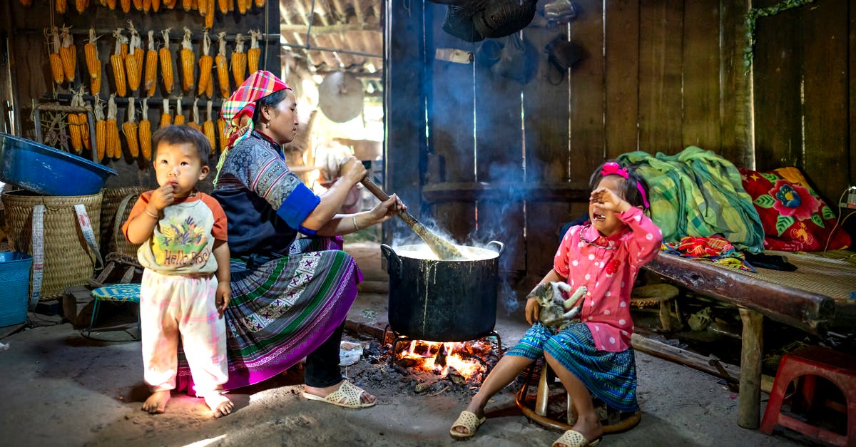 Cook Time vs. Cook Temp trade off - Side view of Asian woman in colorful outfit sitting with children and preparing food on bonfire in wooden rural barn in daytime Cook Time vs. Cook Temp trade off - Side view of Asian woman in colorful outfit sitting with children and preparing food on bonfire in wooden rural barn in daytime